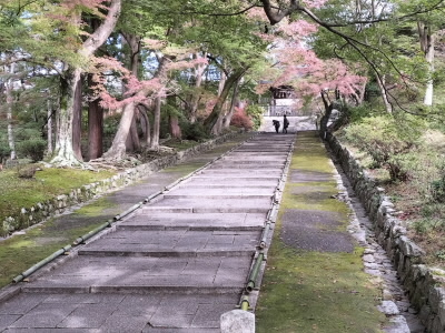 紅葉にはまだ早いですね。