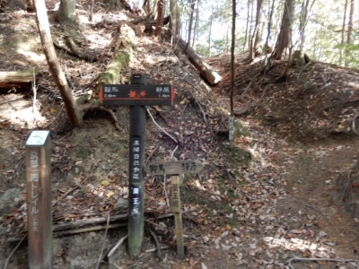 ここに買ってきます。