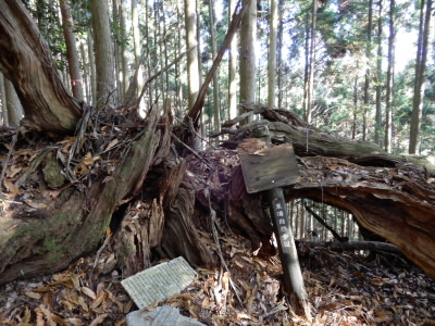 確かここには祠があったと思うのですがどうでしょうか？