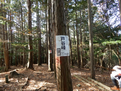 今日はここで昼休みにしました。