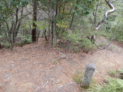 この分岐を右にとって、コンクリート橋へ向かいます。しかし、道がわかりにくく、赤いテープを目印に進みました。