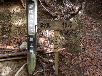 ここが、もっとも高いところです。
開始早々なので、この薬王坂はしんどいです。
