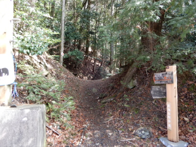 この道から山道になります。
少しゴロゴロしていましたが、上り下りがなく、気持ちのいい道でした。