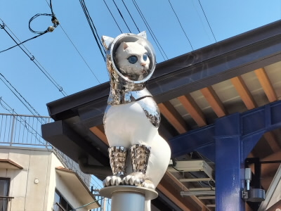 かわいいにゃんこ