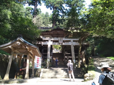お寺の中に神社があります。
鳥居です、