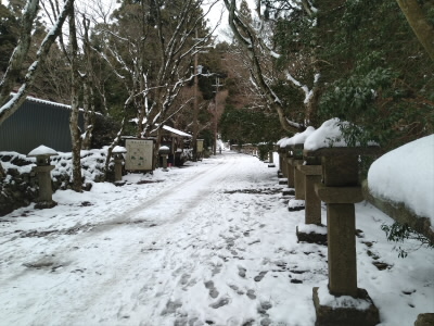 雪道になっている。