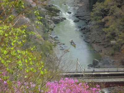 川下りの船がやってきました。
大きな声がします。